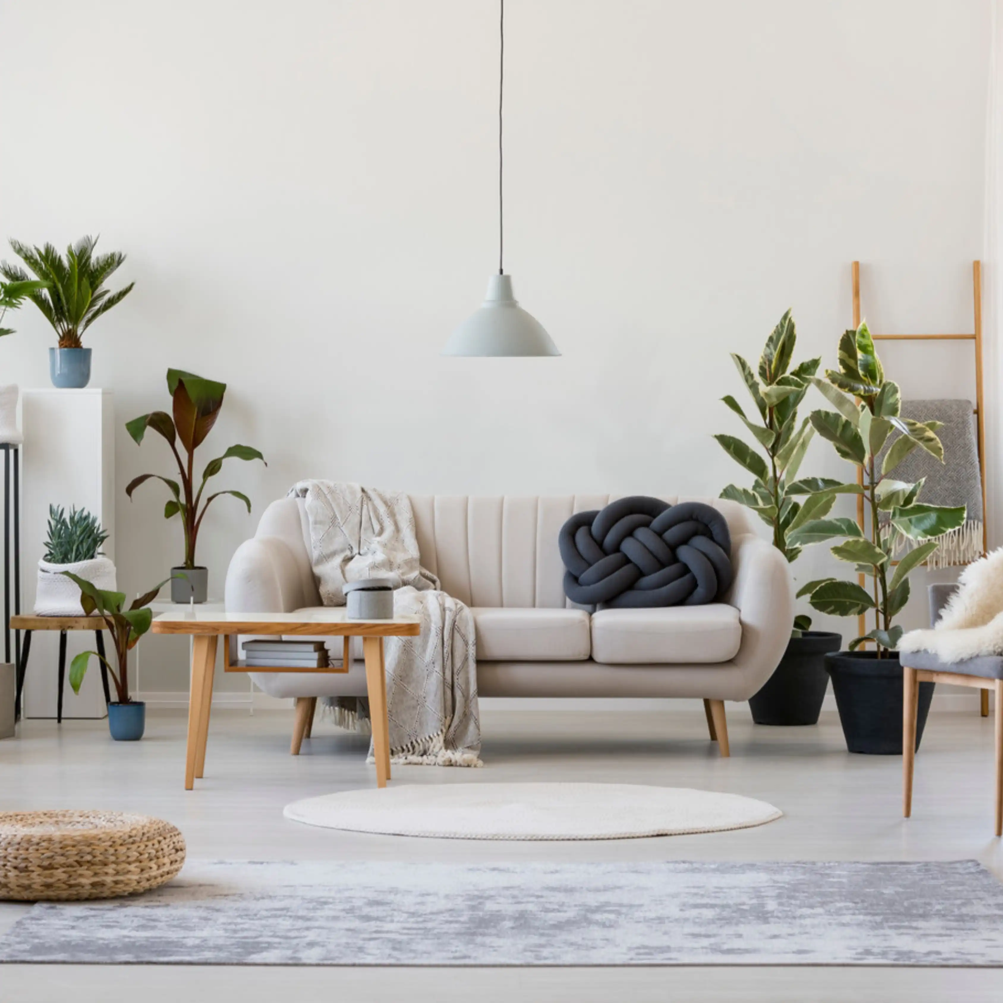 collection_image