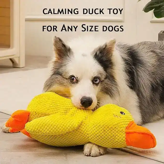 🔥Last Day Sale 50% OFF✨😸Best Friends Calming Duck Toy🐶